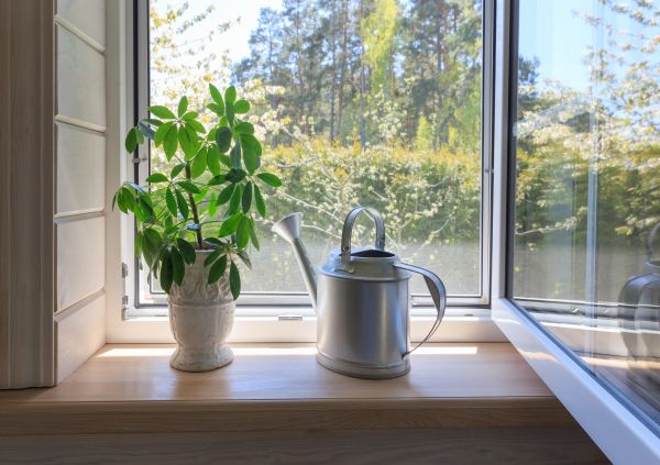 Garden Window Repair in Eagle